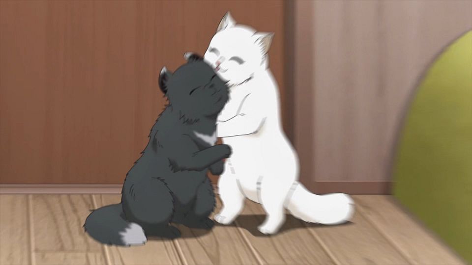 [KTXP][Too_Cute_Crisis][09][GB_CN][HEVC_opus][1080p].mkv_snapshot_23.38.268