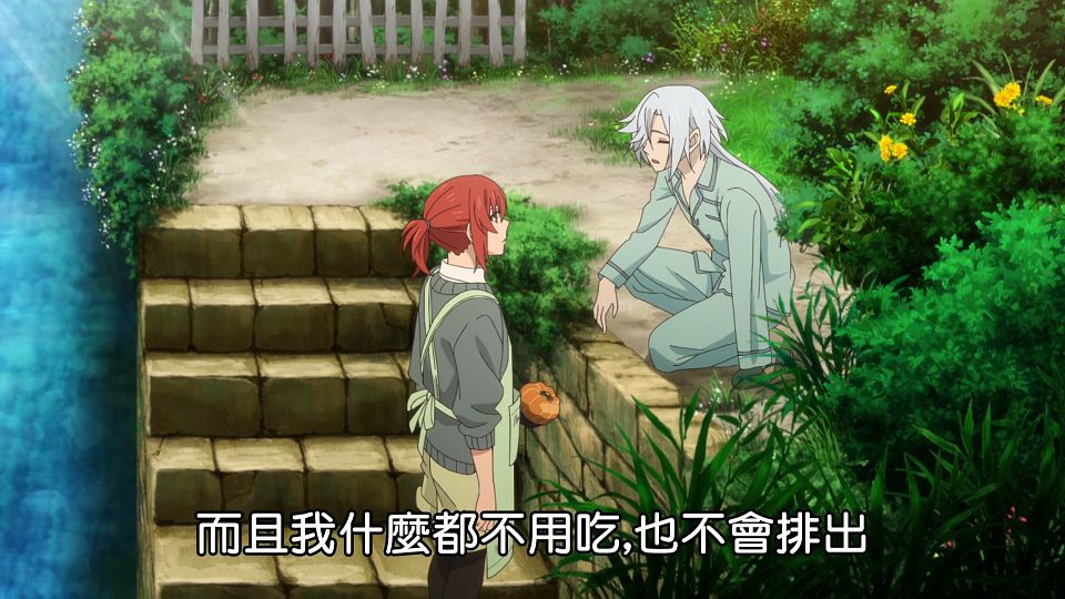 [Lilith-Raws] Mahoutsukai no Yome S02 - 03 [Baha][WEB-DL][1080p][AVC AAC][CHT][MP4].mp4_snapshot_19.55.564