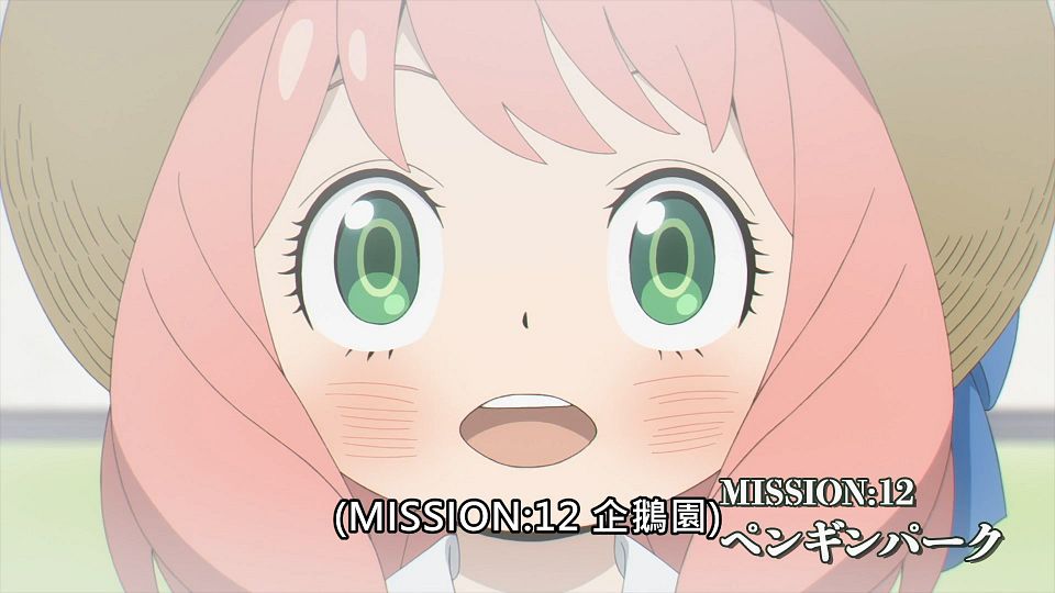 _Lilith-Raws_SPYxFAMILY_-_11_Baha_WEB-DL_1080p_AVC_AAC_CHT_MP4_.mp4_snapshot_24.08.768