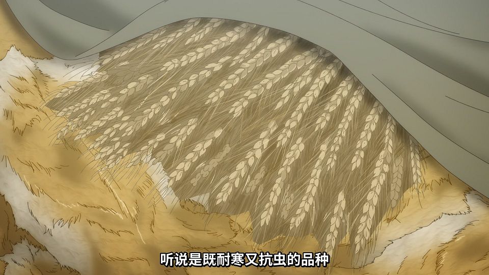 [Mabors] Ookami to Koushinryou - Merchant Meets the Wise Wolf - 01 [1080p][HEVC].mp4_snapshot_04.11.783