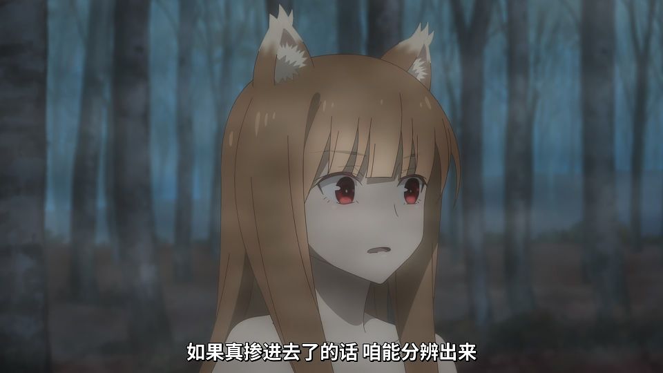 [Mabors] Ookami to Koushinryou - Merchant Meets the Wise Wolf - 24 [1080p][HEVC].mp4_snapshot_17.39.111