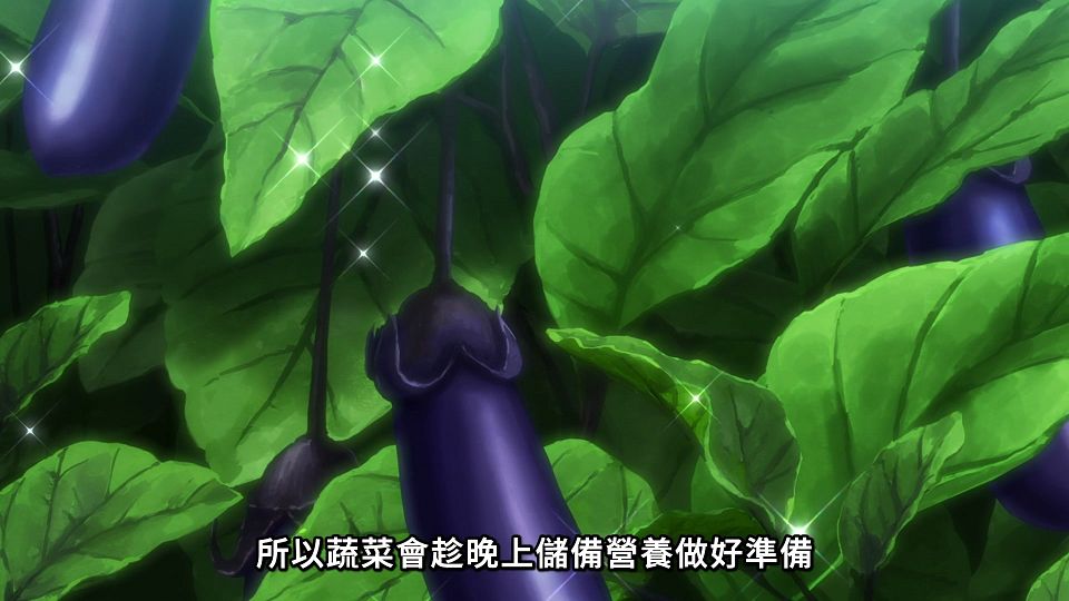 _NC-Raws_-_08_(Baha_1920x1080_AVC_AAC_MP4)_912D2770_.mp4_snapshot_17.13.056