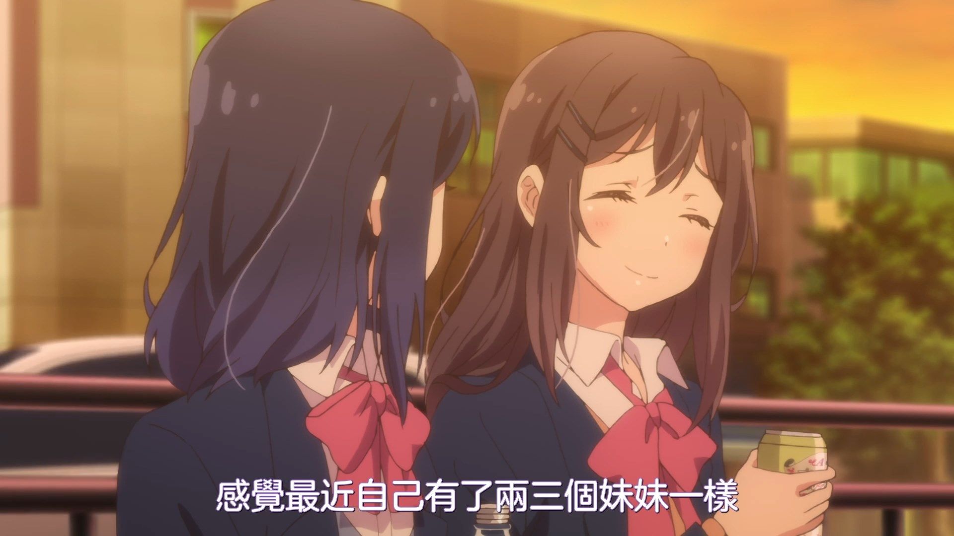 _NC_Raws_Adachi_to_Shimamura_12_WEB_DL_1080p_AVC_AAC_CHT_MP4_.mp4_snapshot_03.40