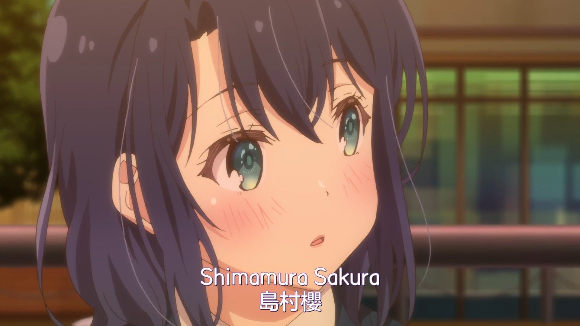 _NC_Raws_Adachi_to_Shimamura_12_WEB_DL_1080p_AVC_AAC_CHT_MP4_.mp4_snapshot_03.52