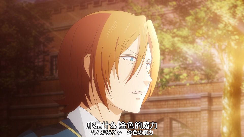_Nekomoe_kissaten_LoliHouse_Kinsou_no_Vermeil_-_02_WebRip_1080p_HEVC-10bit_AAC_ASSx2_.mkv_snapshot_07.38.530