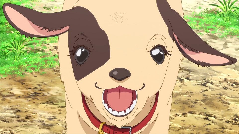 _Nekomoe_kissaten_Love_Live!_Superstar!!_S2_06_TVRip_1080p_JPSC_.mp4_snapshot_05.50.797