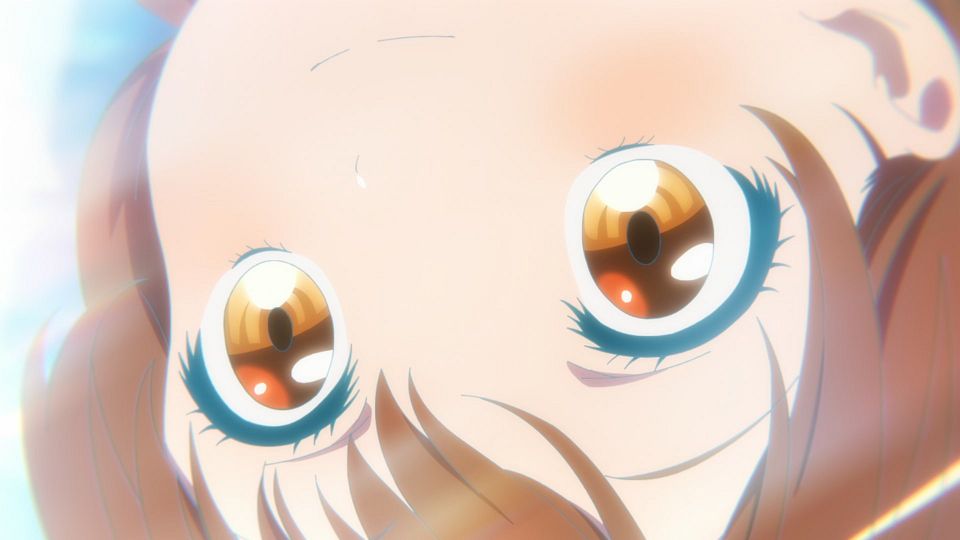 [Sakurato] Nanare Hananare [11][HEVC-10bit 1080p AAC][CHS&CHT].mkv_snapshot_20.45.673