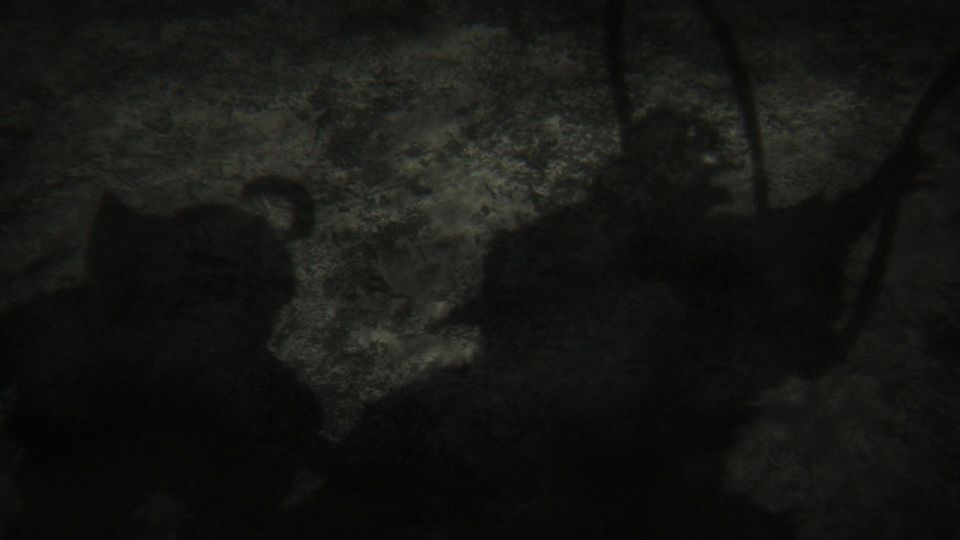 snapshot_02.56.903