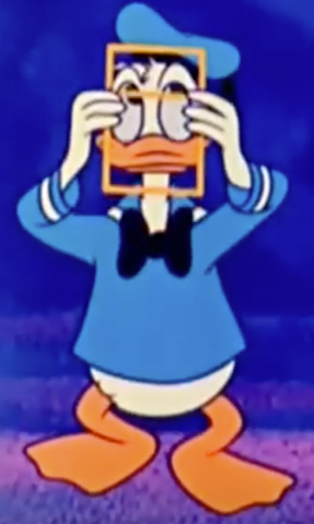 Donald Duck with a golden rectangle