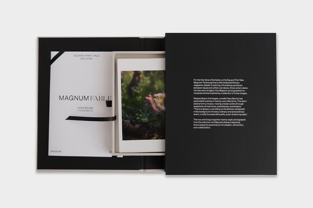 Magnum square print sale 2024 fable