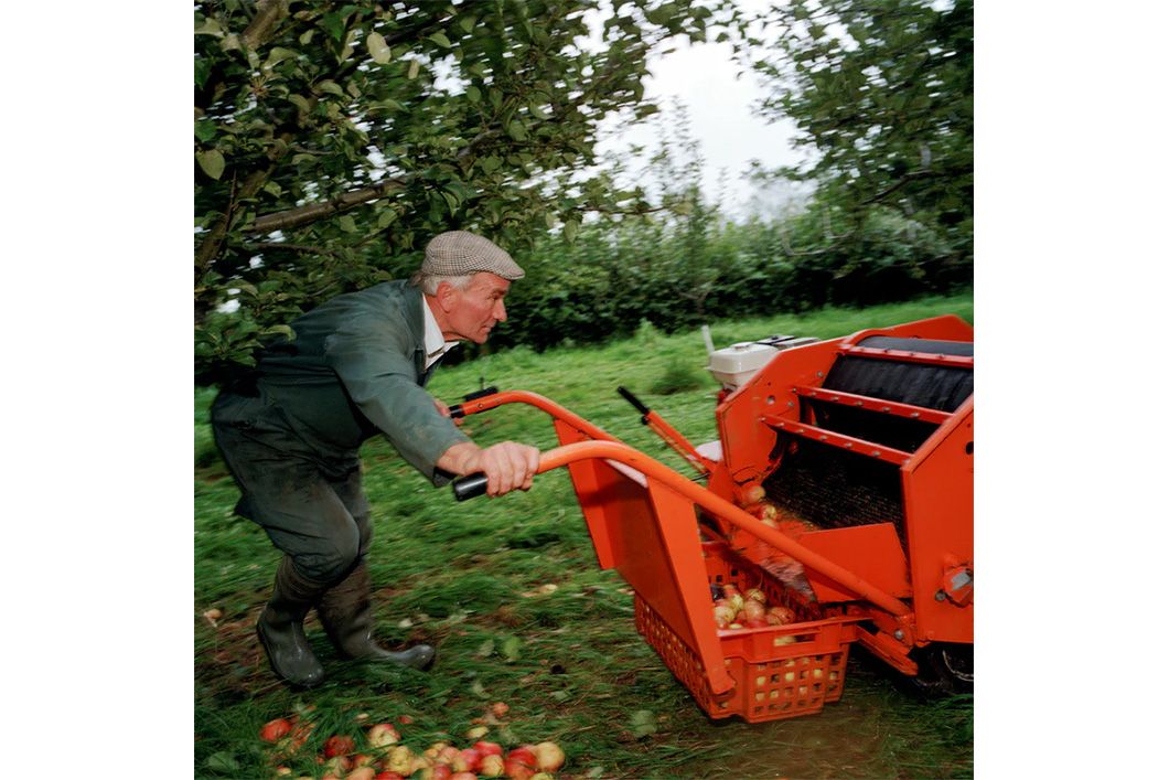 martin parr