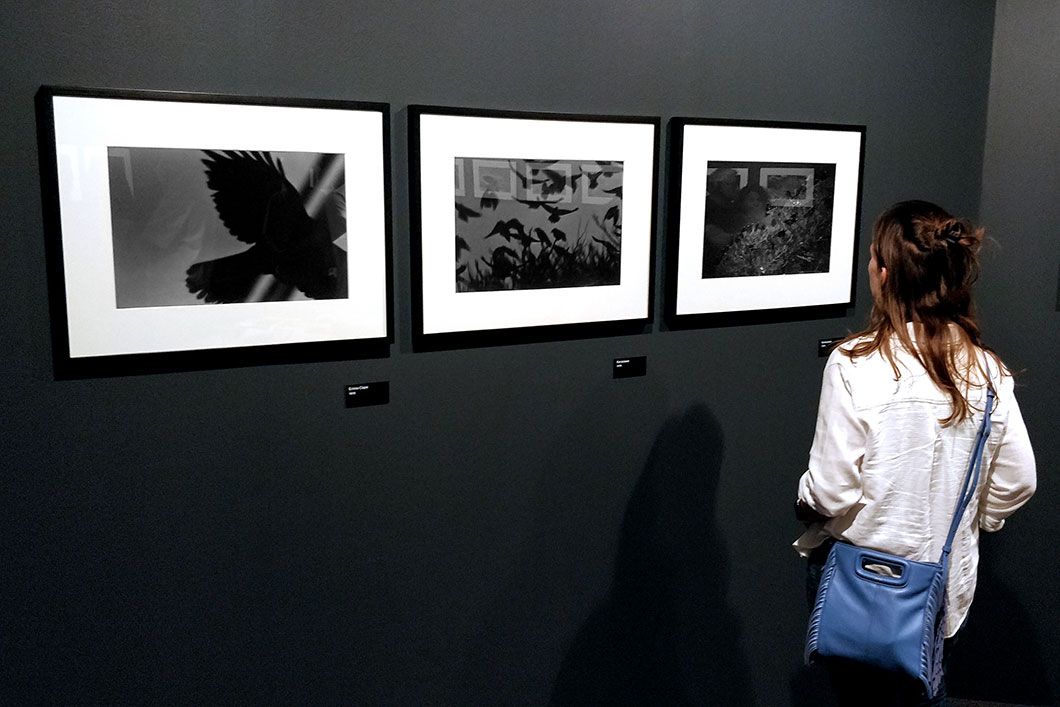 Masahisa fukase ravens madrid opening