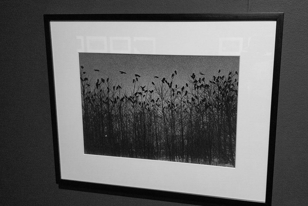 Masahisa fukase ravens madrid opening