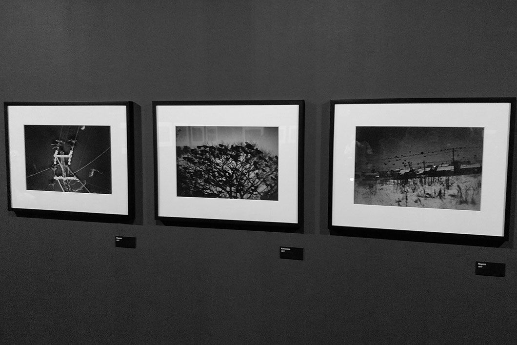 Masahisa fukase ravens madrid opening