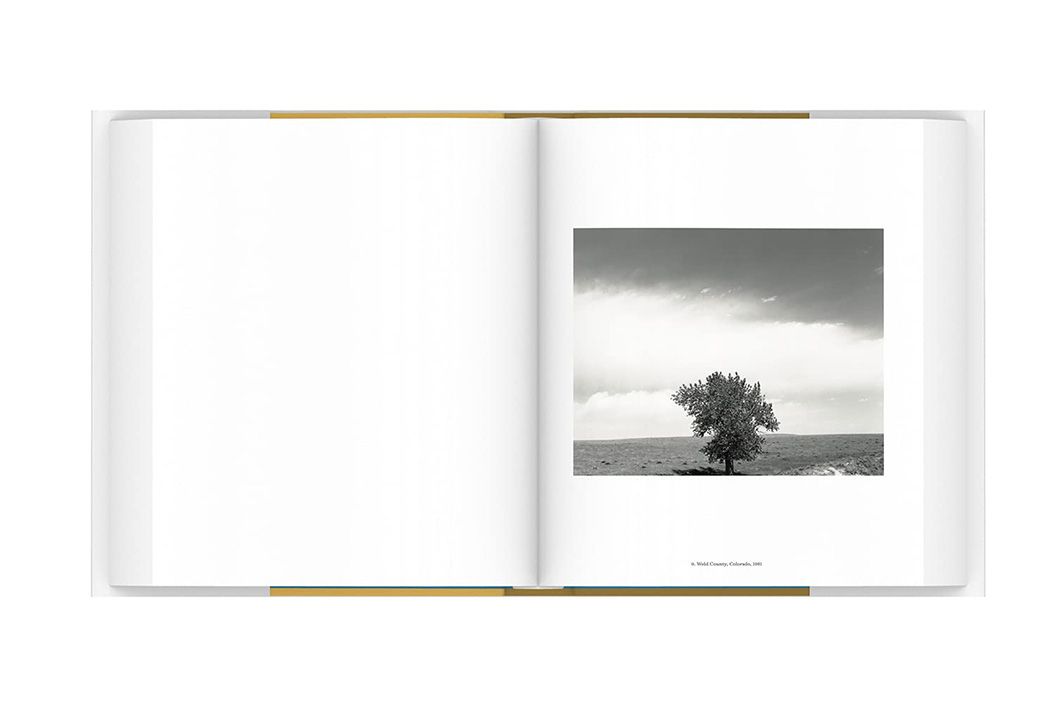 robert adams