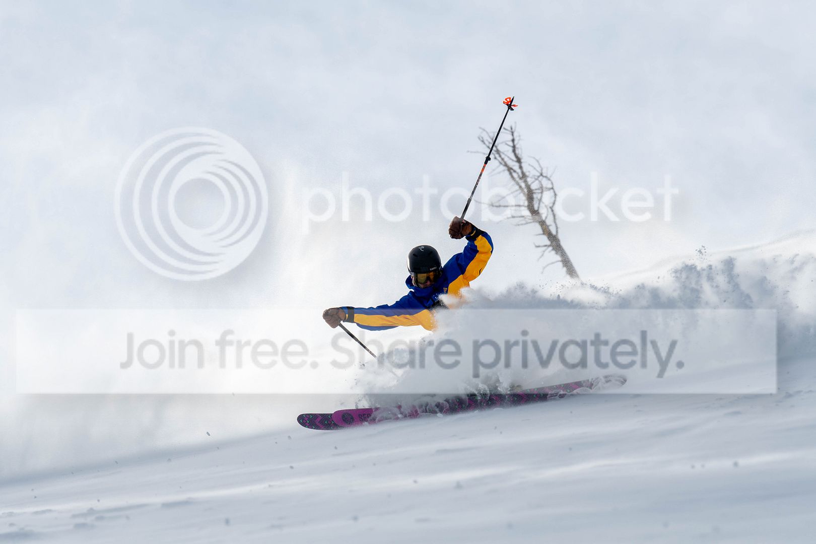DSC_0137.jpg