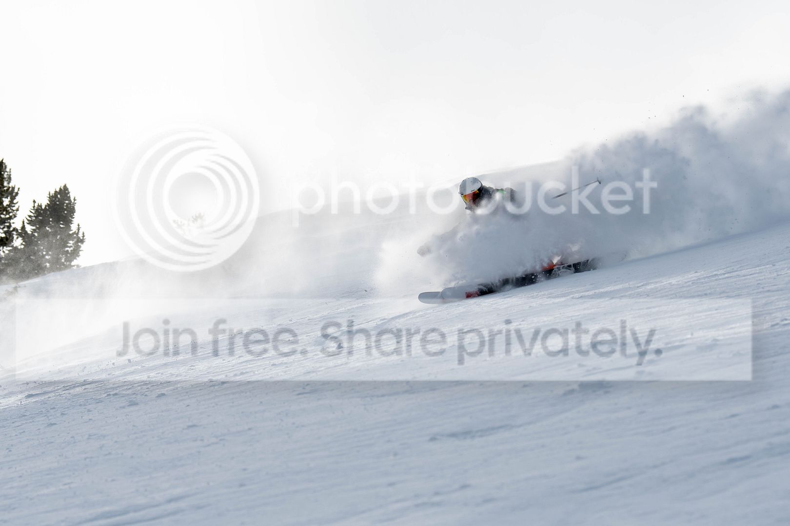 DSC_0452.jpg