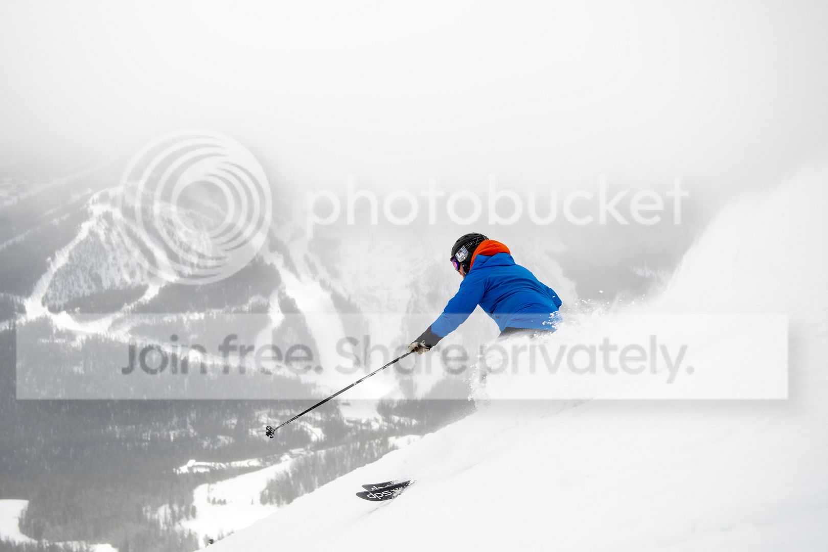 DSC_2339.jpg