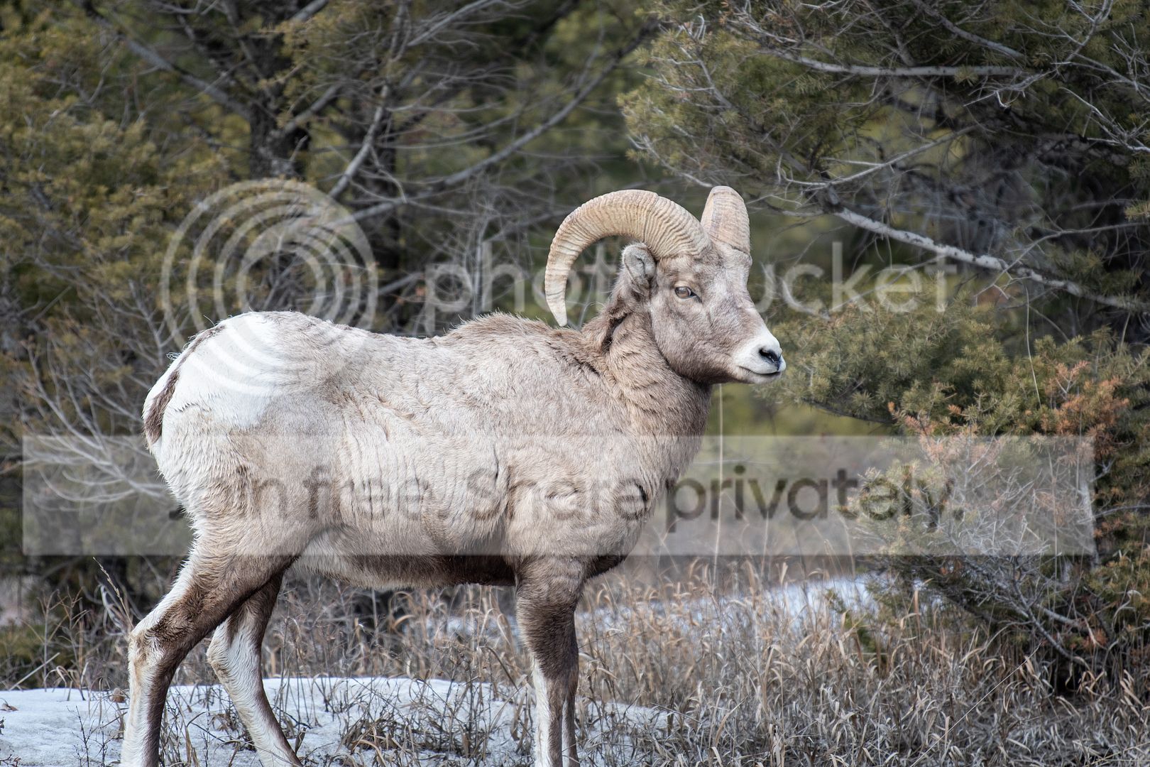 DSC_2637.jpg