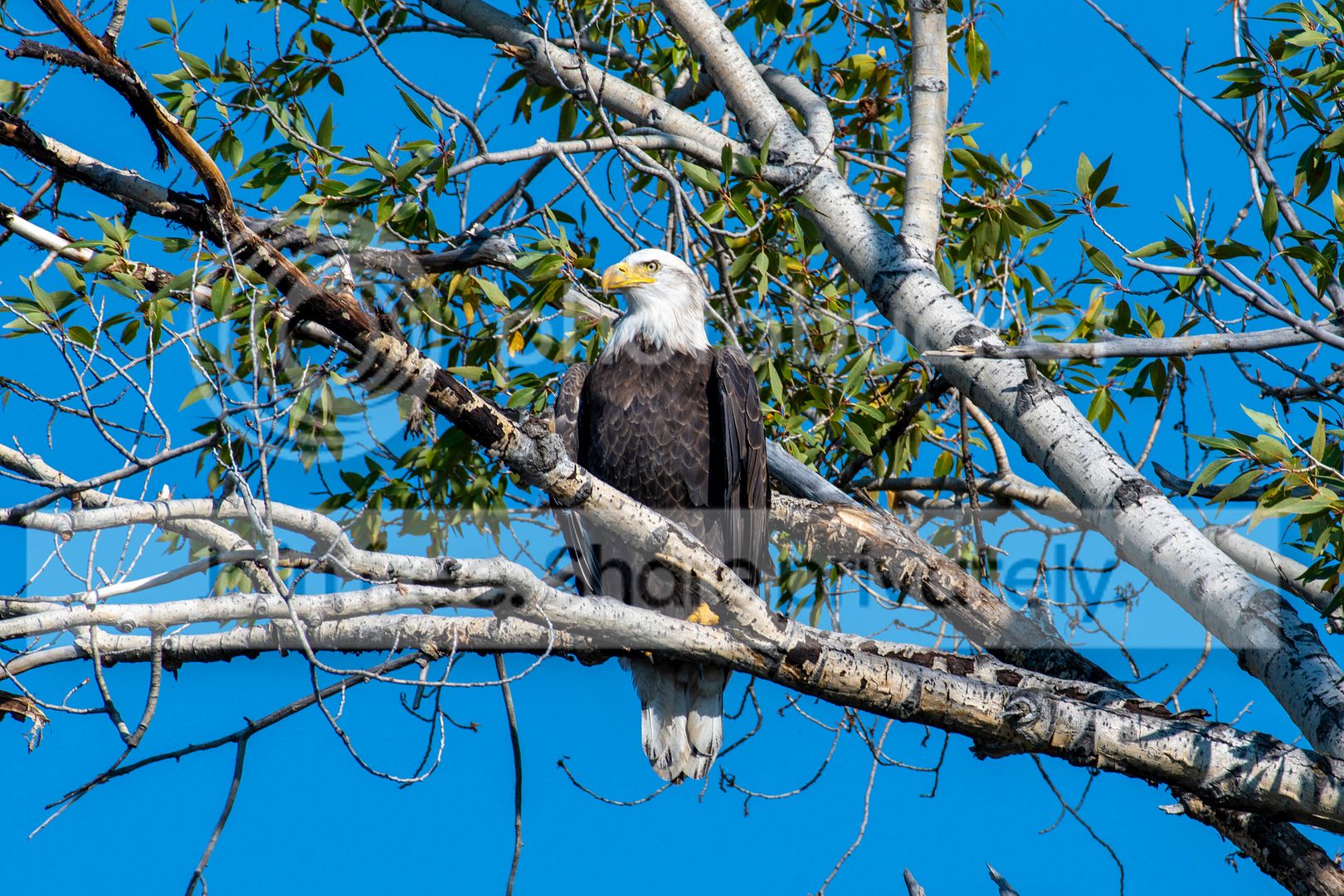 DSC_5131.jpg
