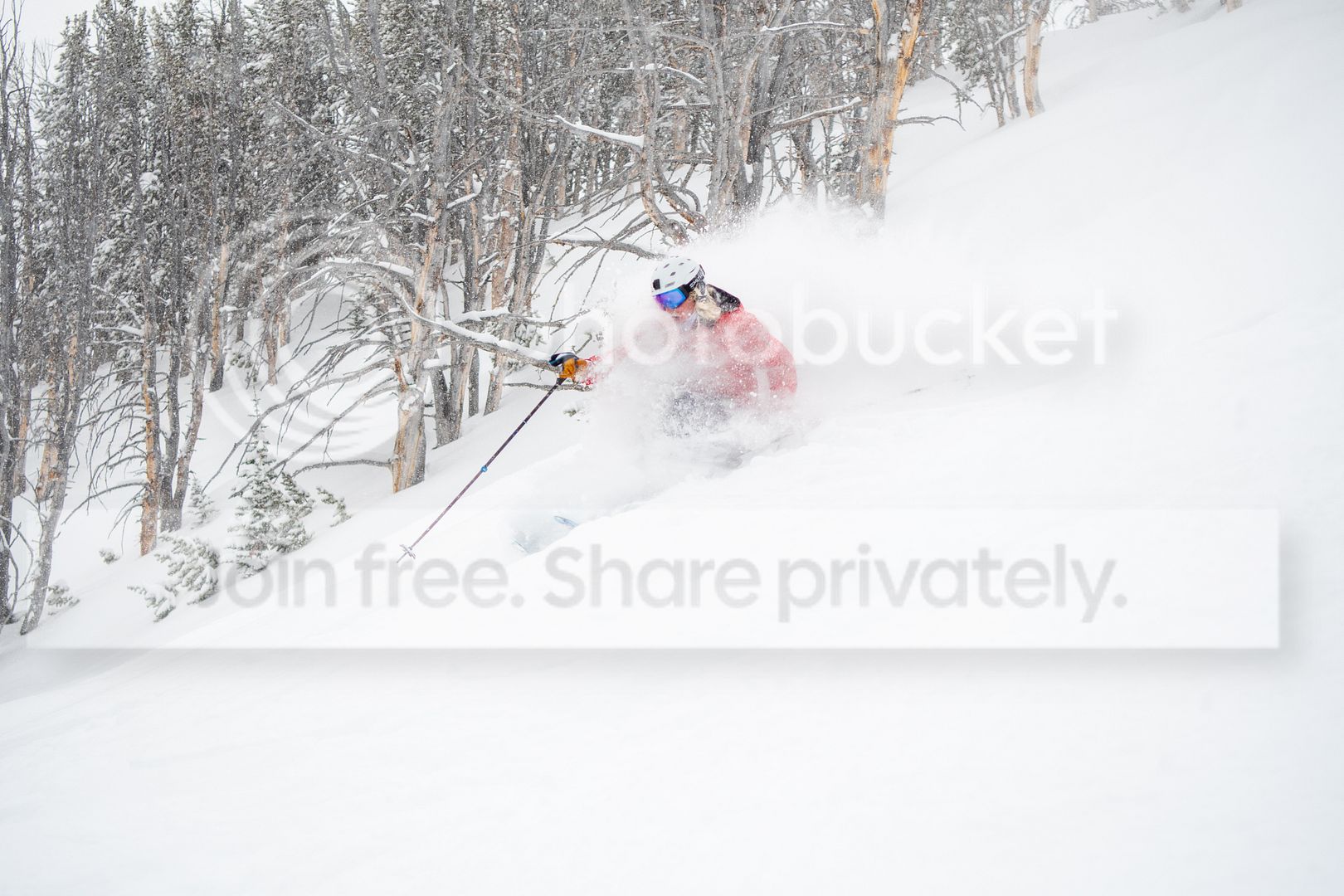 DSC_7534.jpg