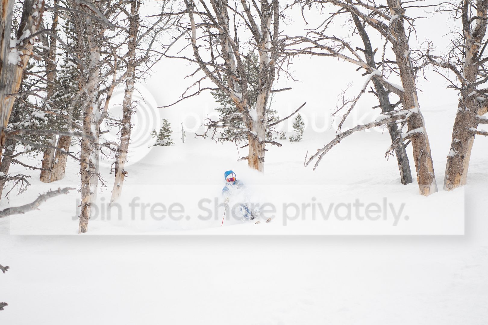 DSC_7664.jpg