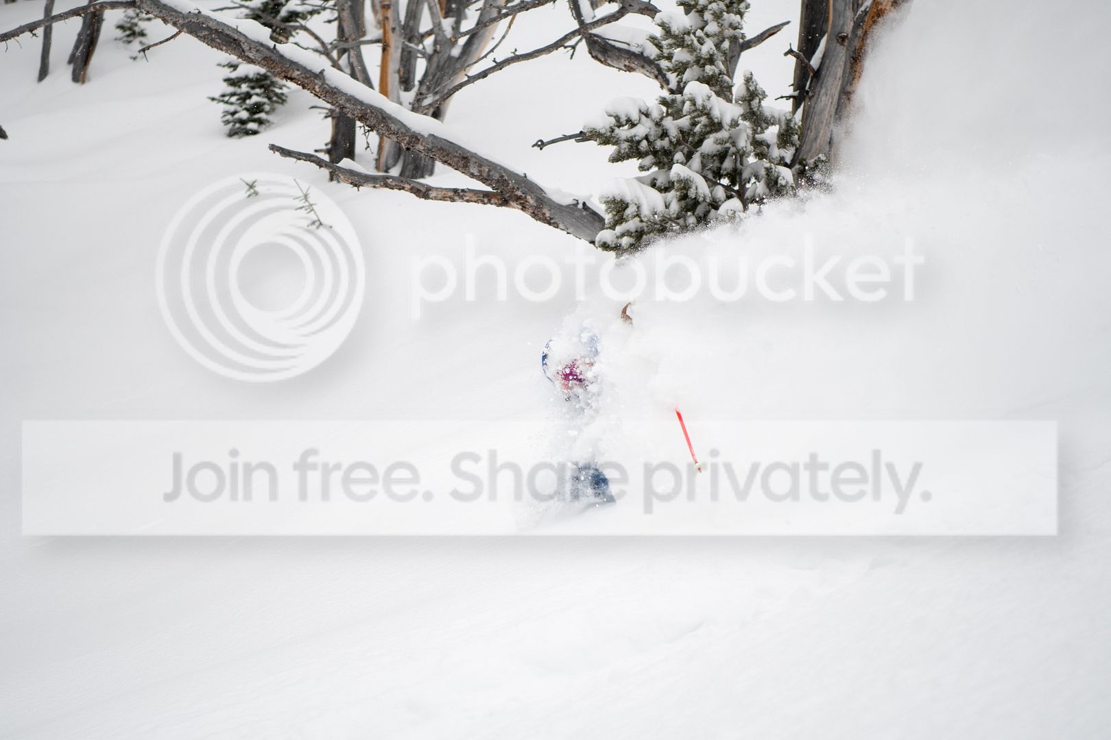 DSC_7687.jpg