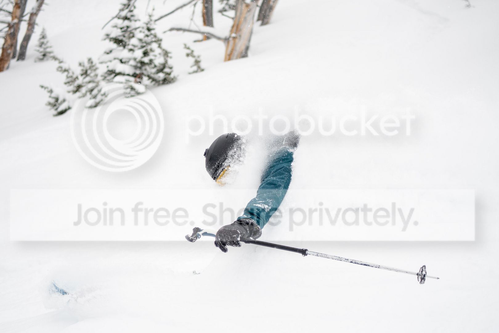DSC_7799.jpg