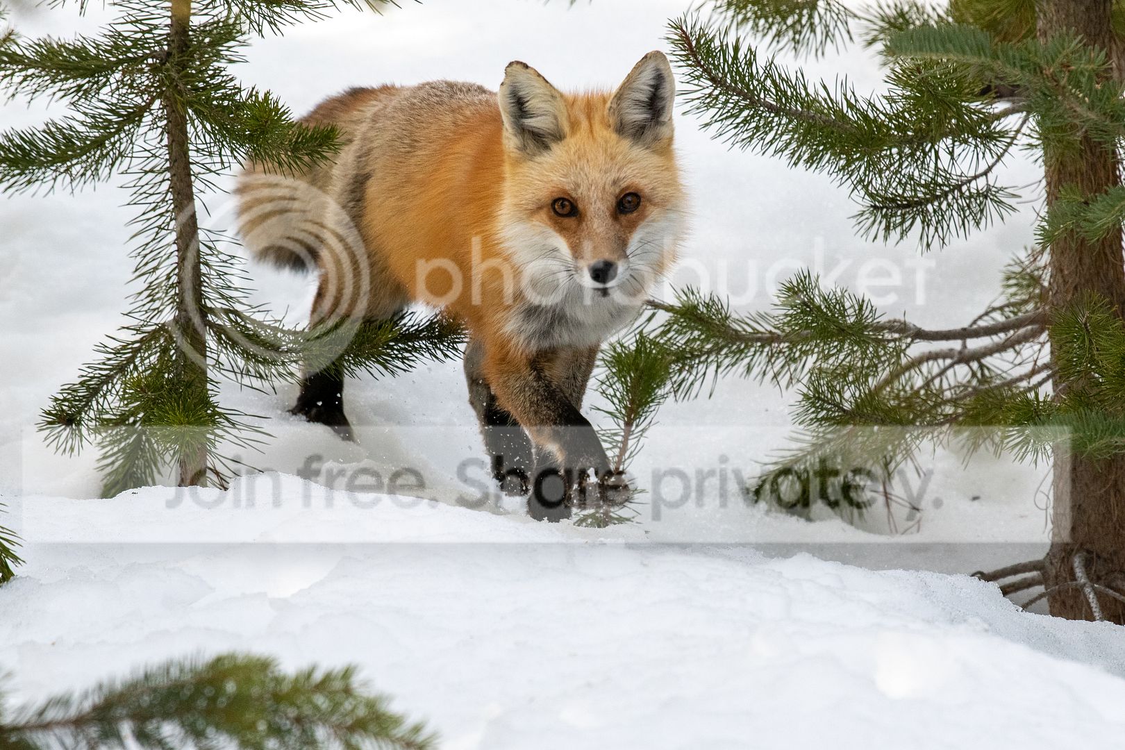 DSC_8481.jpg
