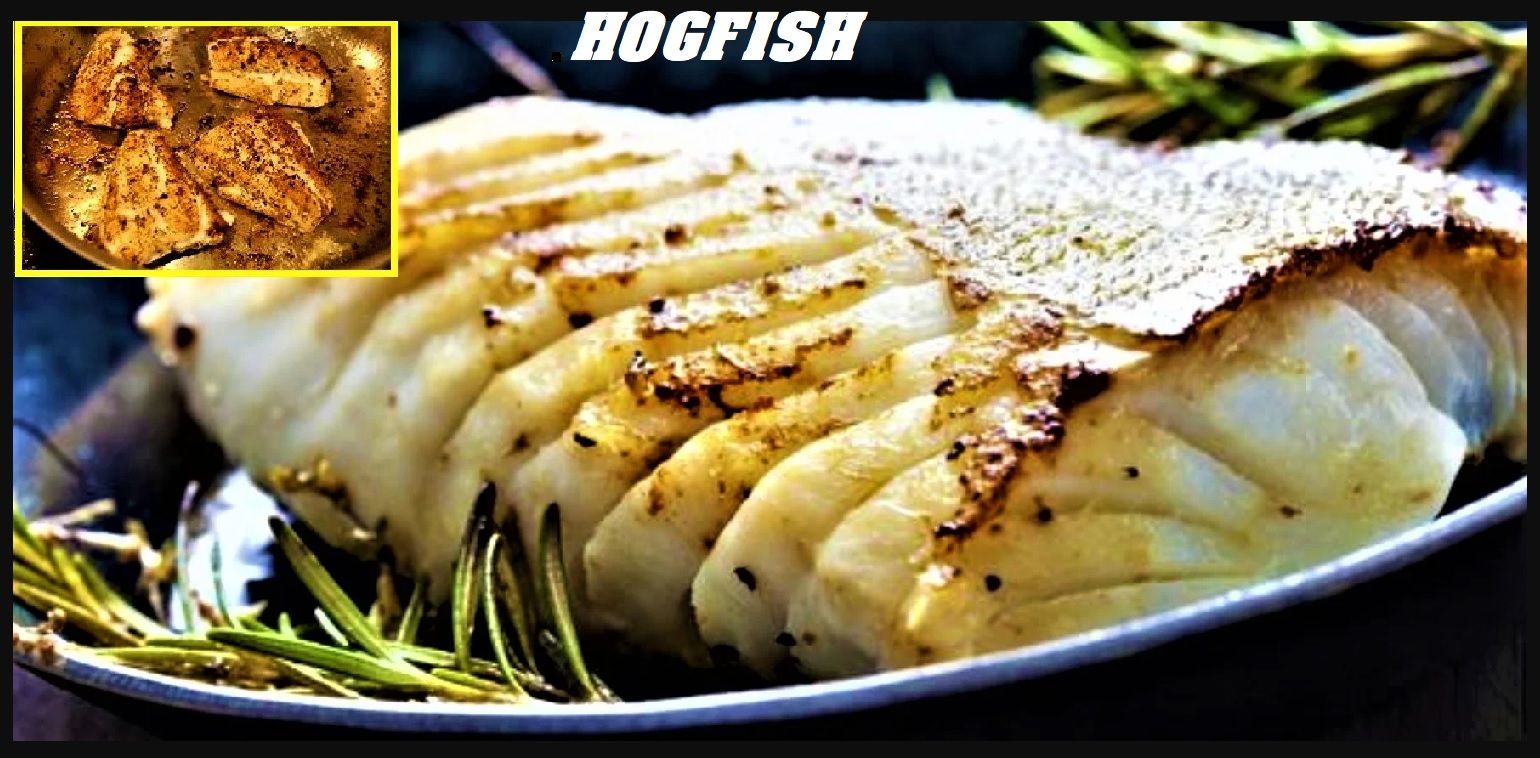 Image: https://hosting.photobucket.com/images/uu162/harbisonphoto/12_gg1QgVKuKVi3CbQq6kxfef.jpg?width=1920&height=1080&fit=bounds