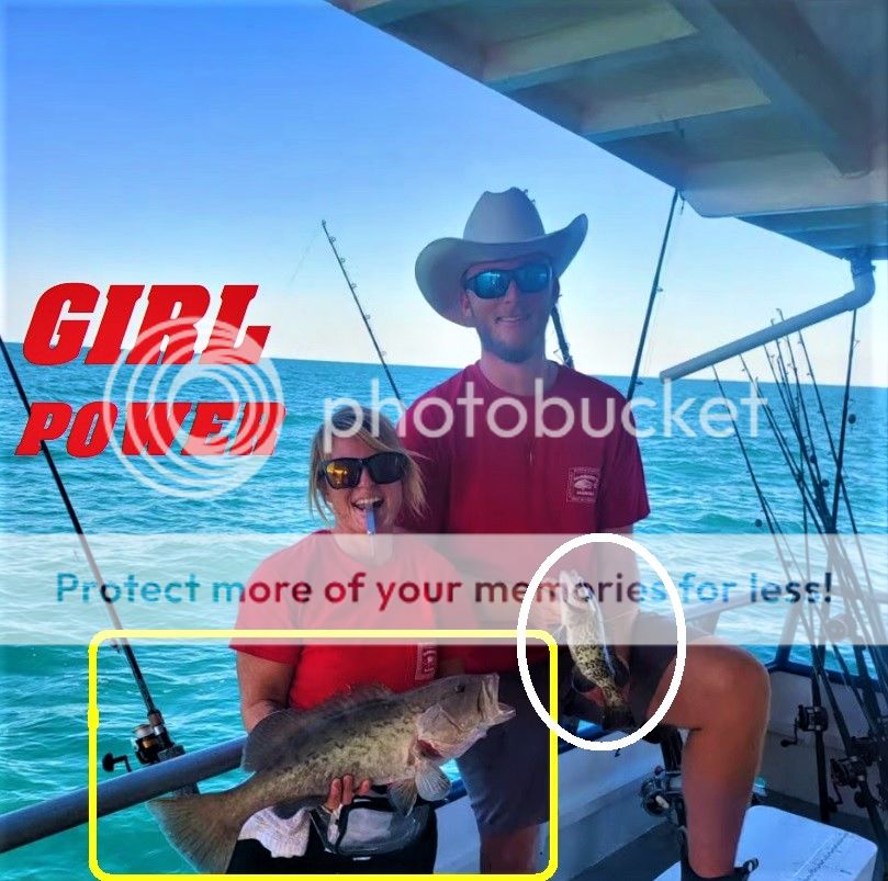 CATCH MORE FISH | Bloodydecks