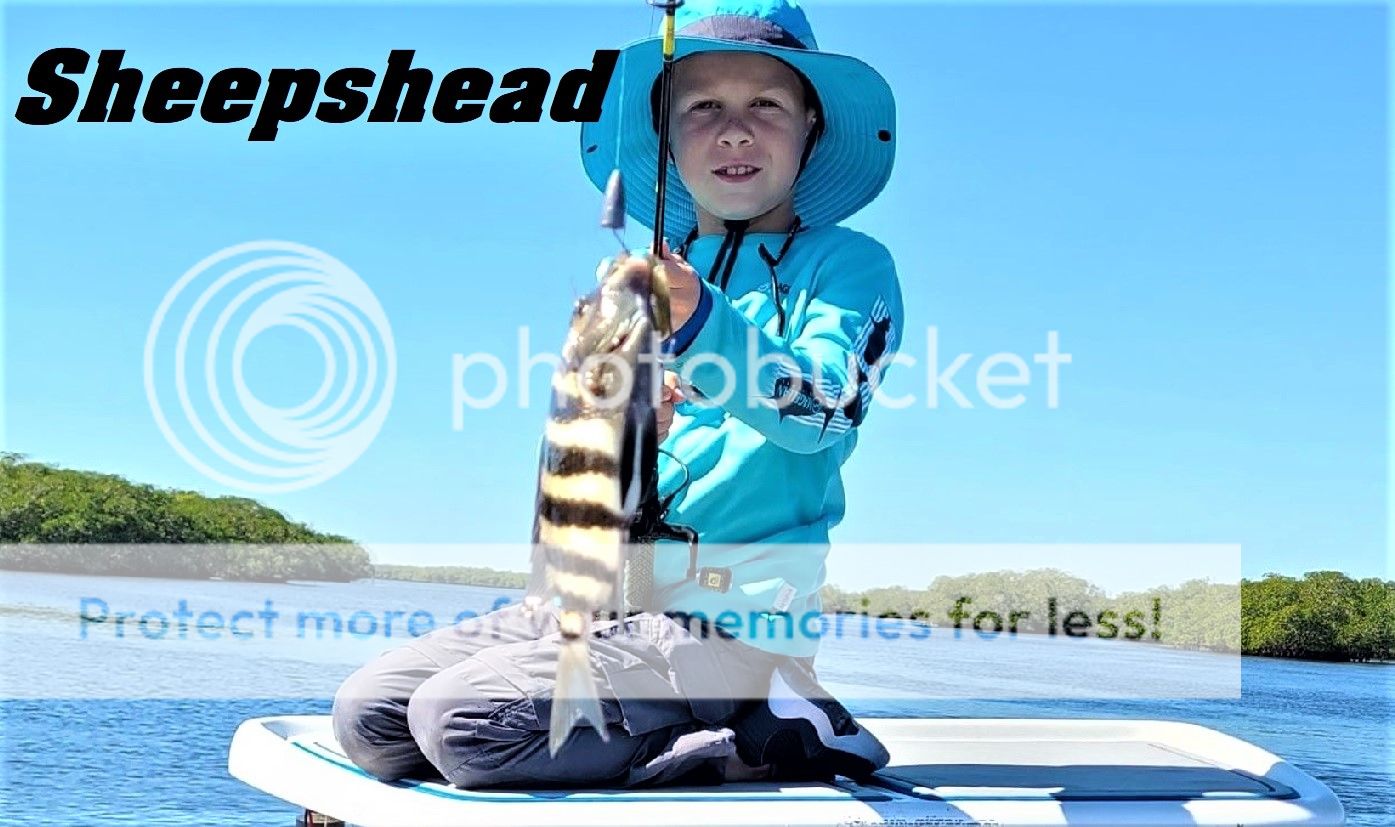 Central Florida Fishing | Bloodydecks