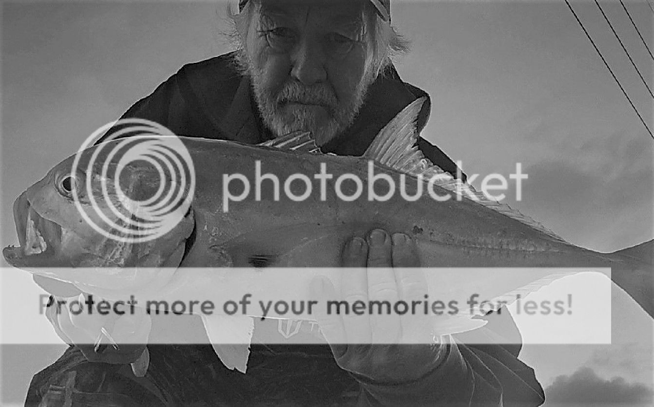 Central Florida Fishing | Bloodydecks