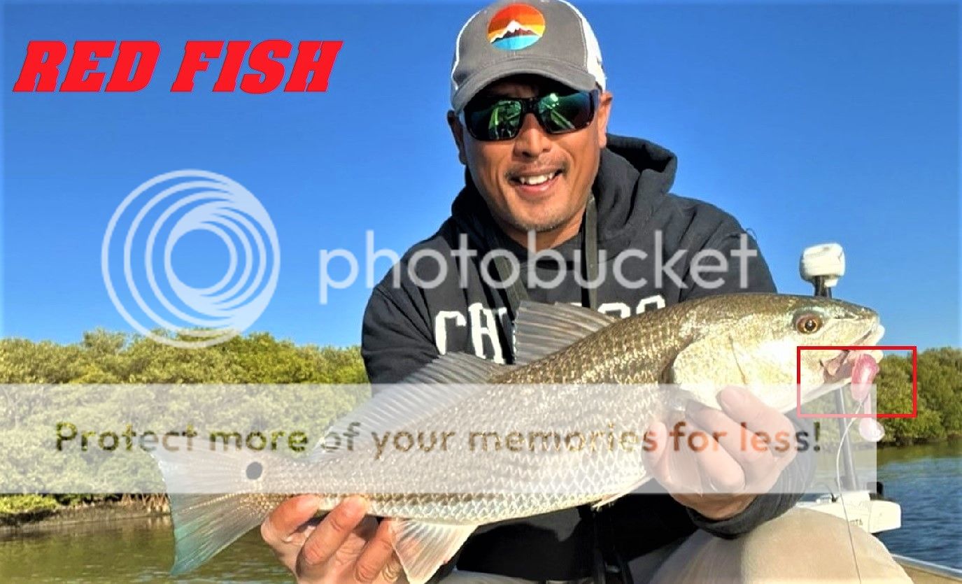 Central Florida Fishing | Bloodydecks