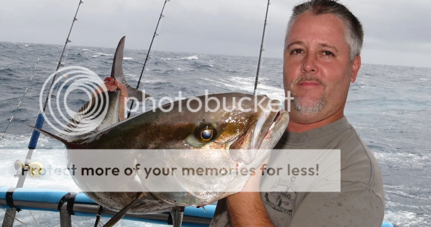 Huge Amberjack, Gag Grouper, Red Grouper changes Bloodydecks