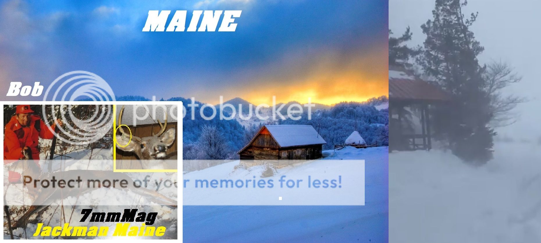 Choosing the Right Rifle Bloodydecks