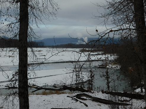 https://hosting.photobucket.com/images/uu278/Icey_Fire/DSCN0523.JPG?width=590&height=370&fit=bounds