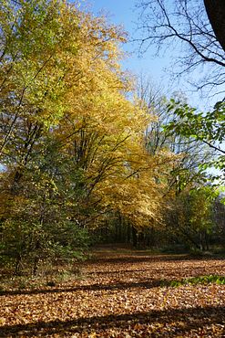 2020_1102Herbst0014