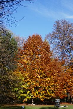2020_1102Herbst0026