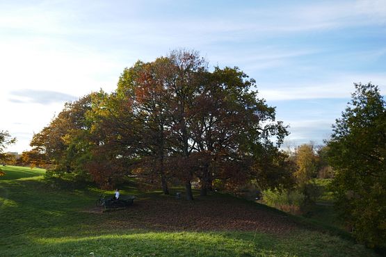 2020_1102Herbst0053