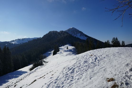 Fockenstein - Winter