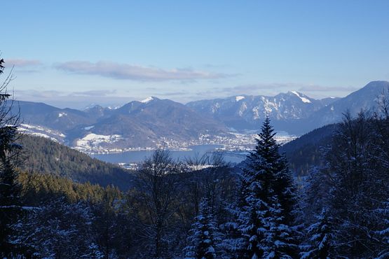 Tegernsee vom Wiesseer Höhenweg