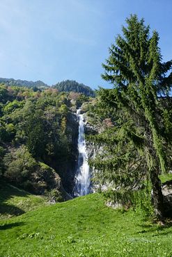 Wasserfall mit Baum