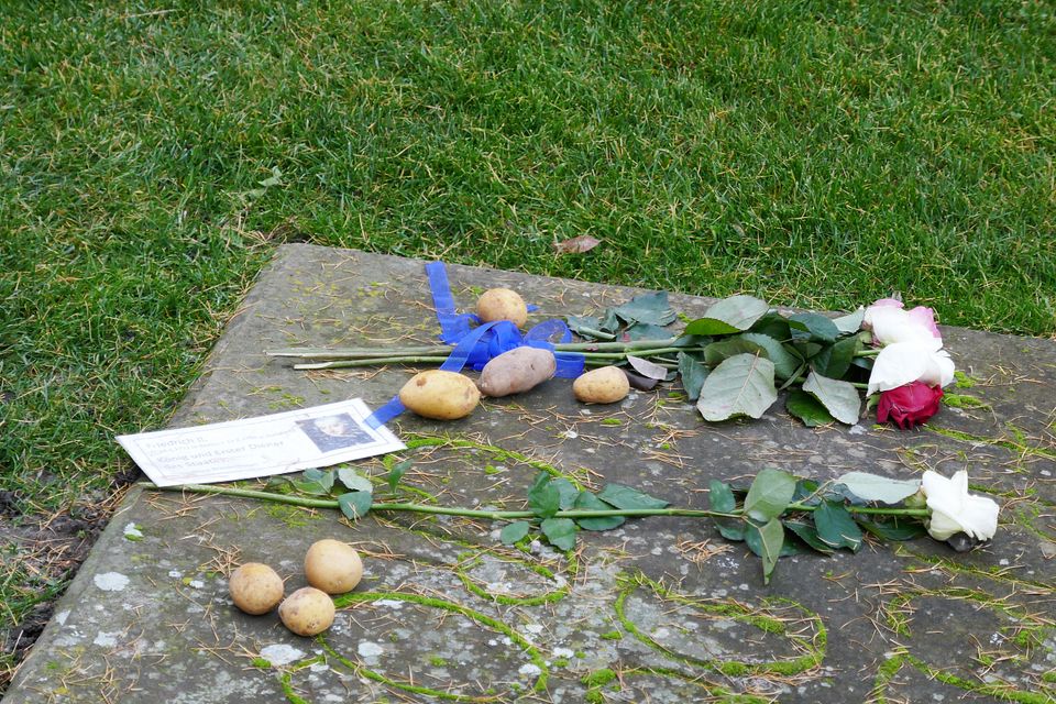 Kartoffeln und Rosen