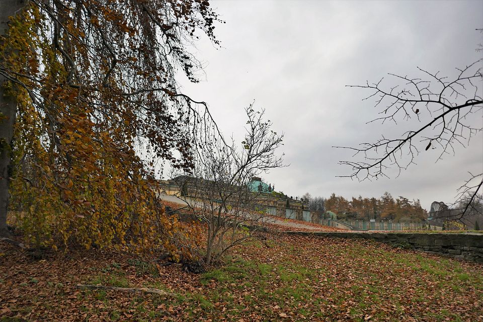 Sanssouci in Autumn