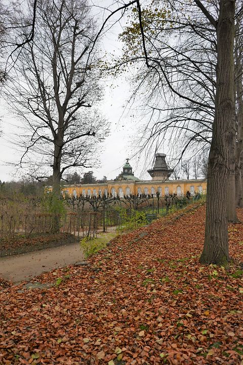 Neue Kammern