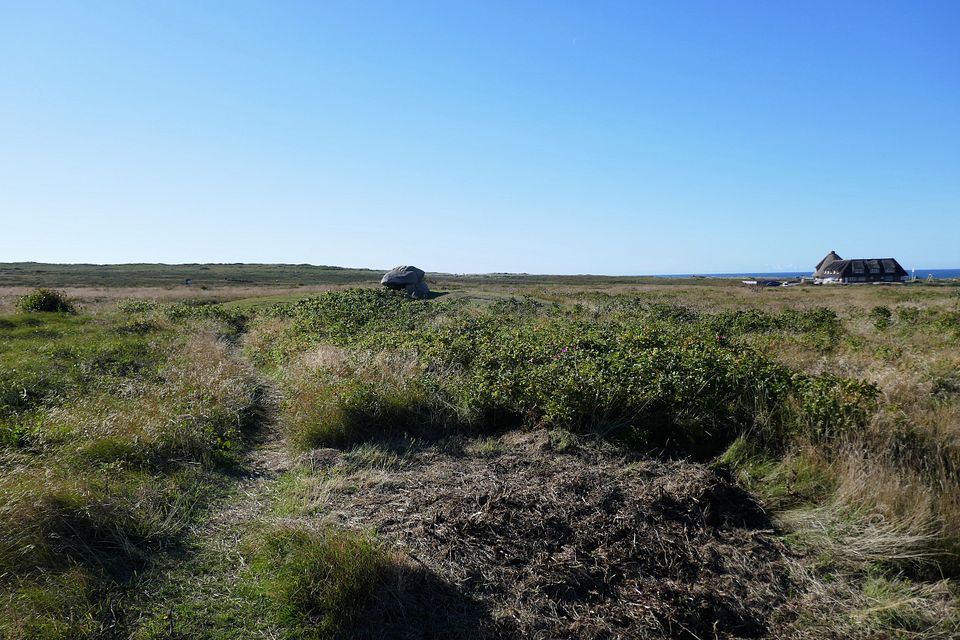 Hügelgrab in Landschaft