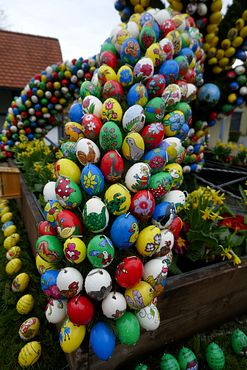 Detail verregnete Eier