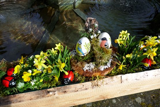 Vögel und Osterglocken