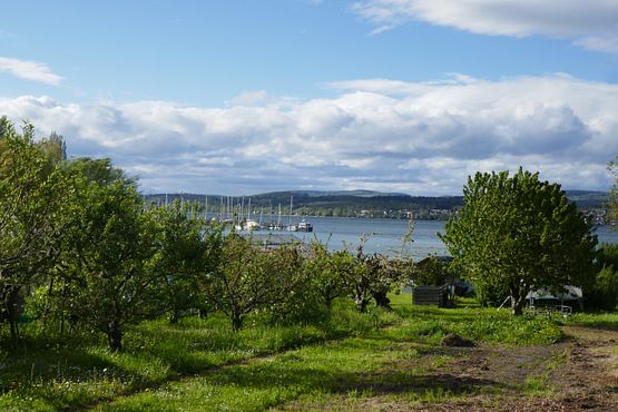 Gärten Schiffe Küste